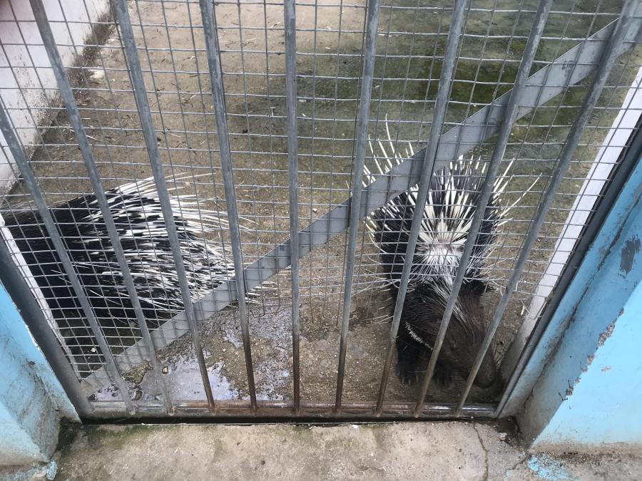 天鵝湖風(fēng)景區(qū)（泰山）速覽！(圖10)