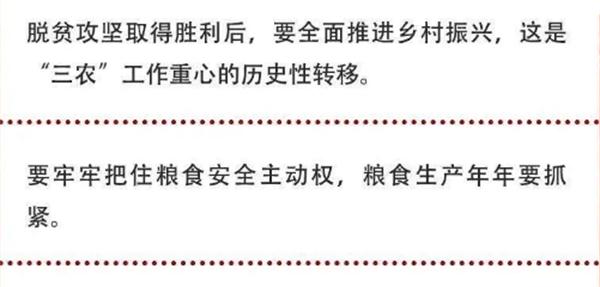 2020年中央農(nóng)村工作會(huì)議精神速覽！(圖2)