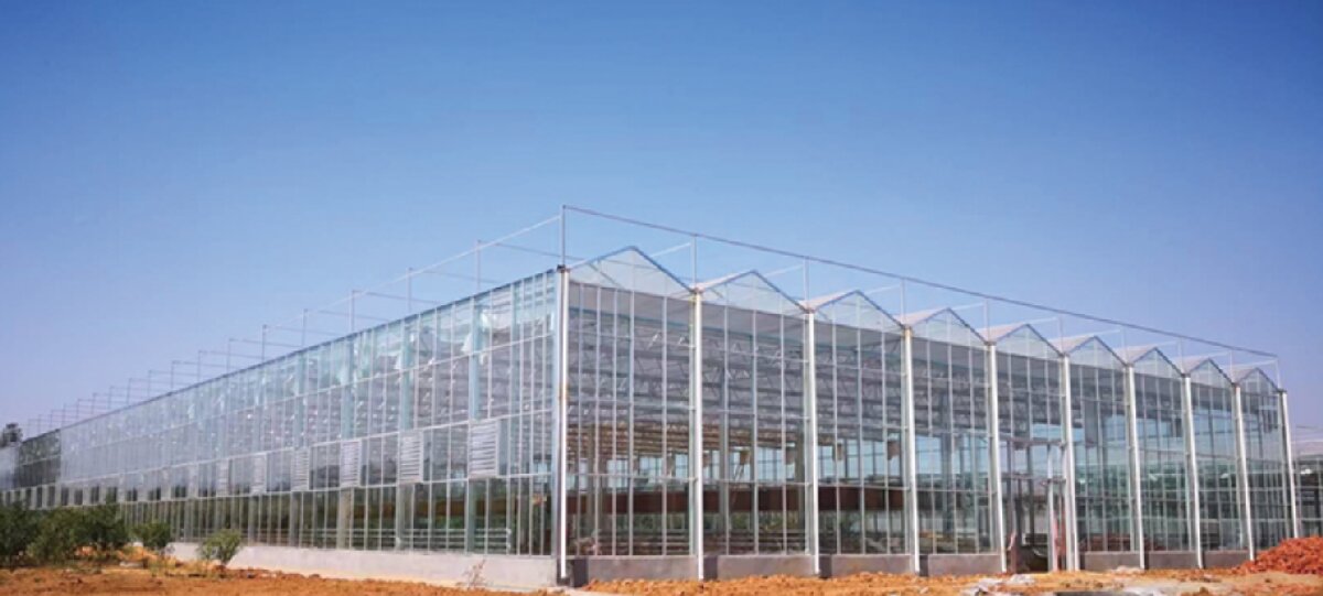 信橋鋼構(gòu)：打卡蒙陰農(nóng)業(yè)溫室大棚、青州黑牛養(yǎng)殖基地！(圖2)